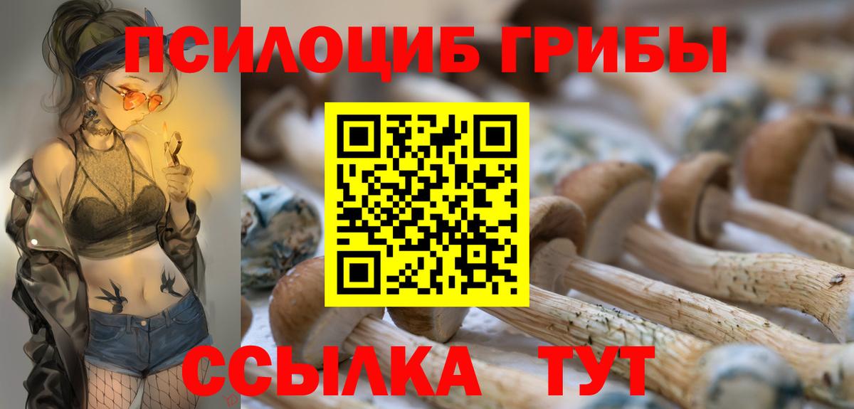 Псилоцибиновые грибы мухоморы Михайловск