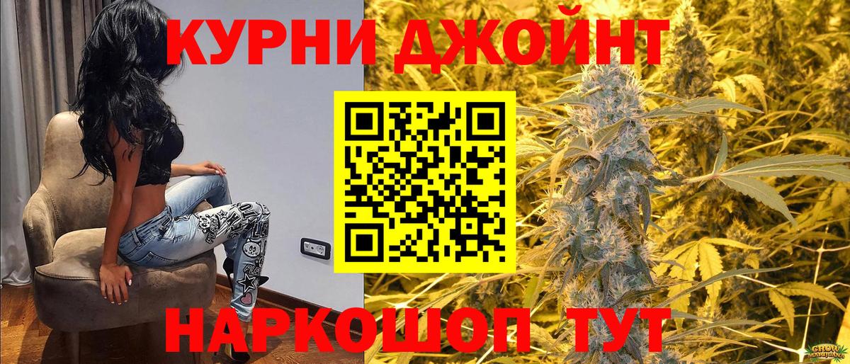 Конопля сатива Михайловск